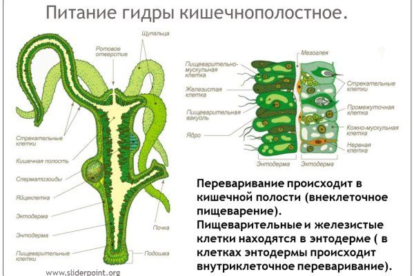 Как восстановить пароль кракен